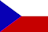 translate in cz